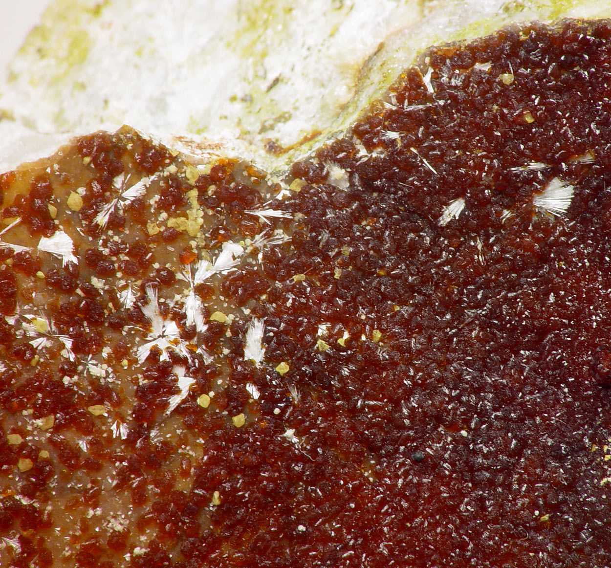 Tiptopite & Roscherite