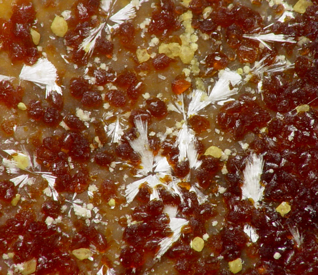 Tiptopite & Roscherite