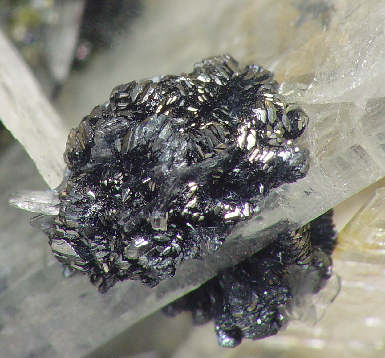 Baryte & Stibnite