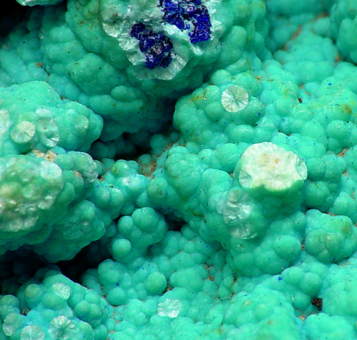 Aurichalcite & Azurite