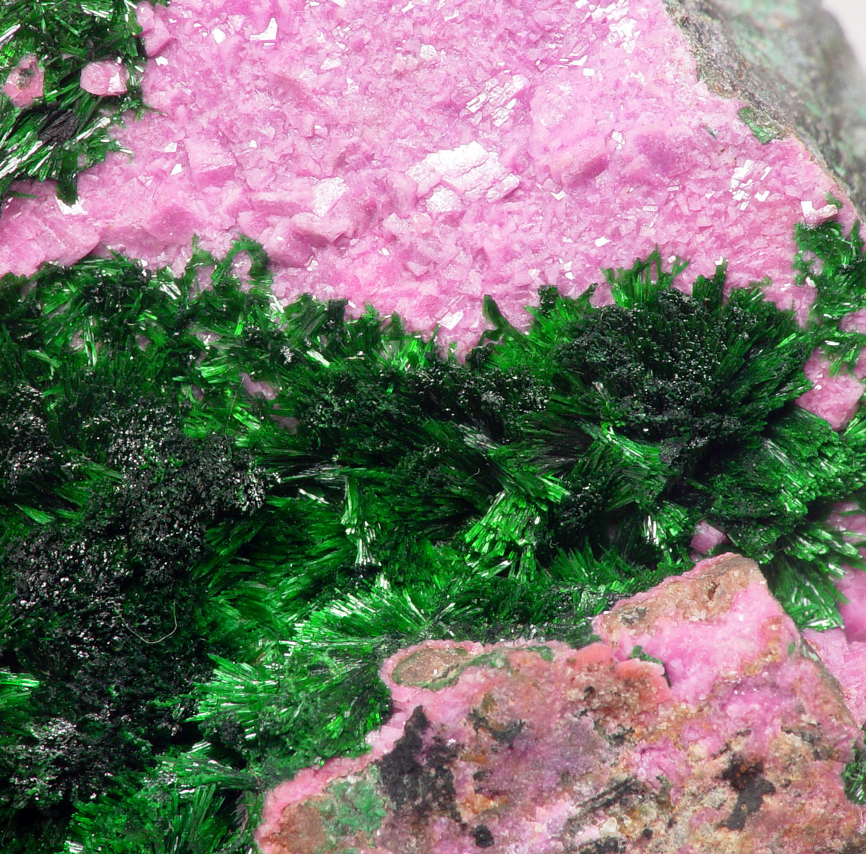 Cobaltoan Calcite & Malachite