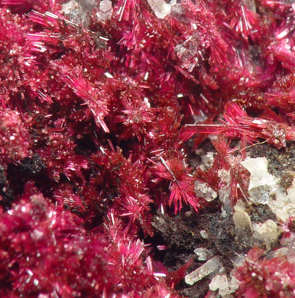 Erythrite