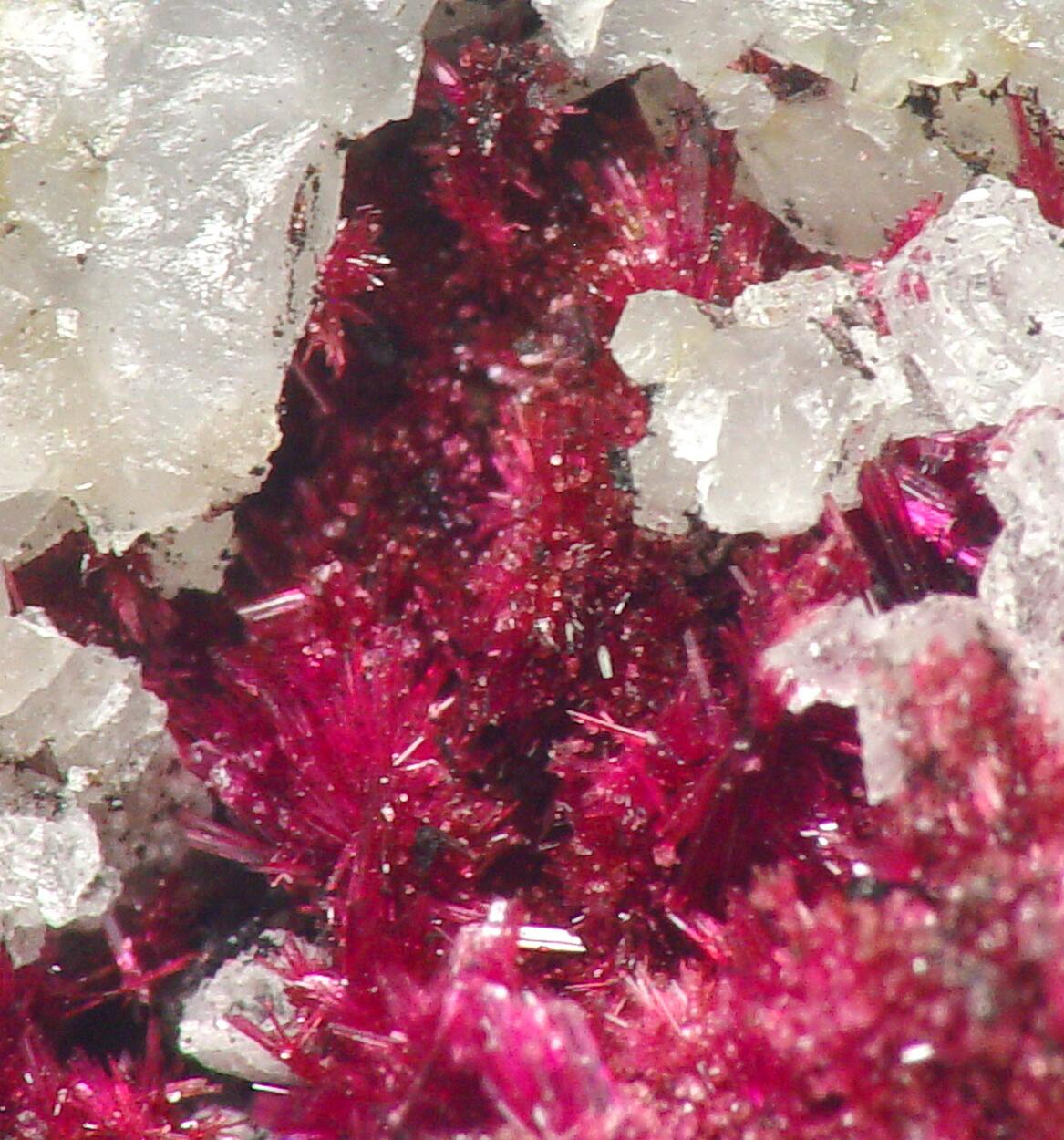 Erythrite