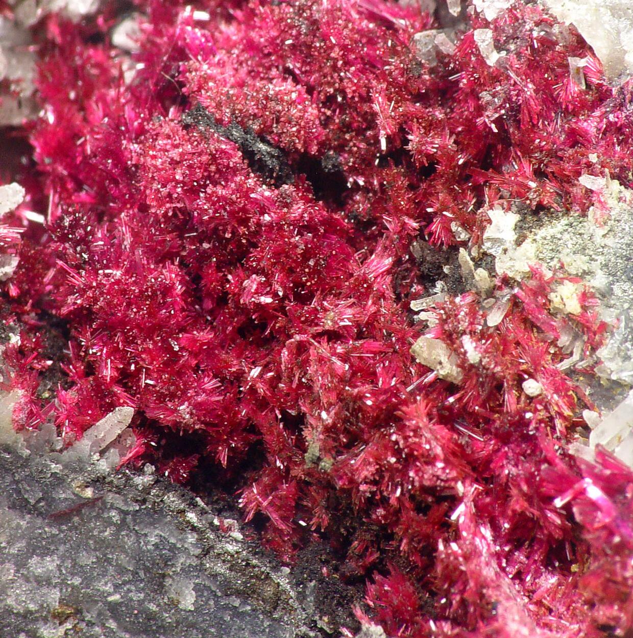 Erythrite