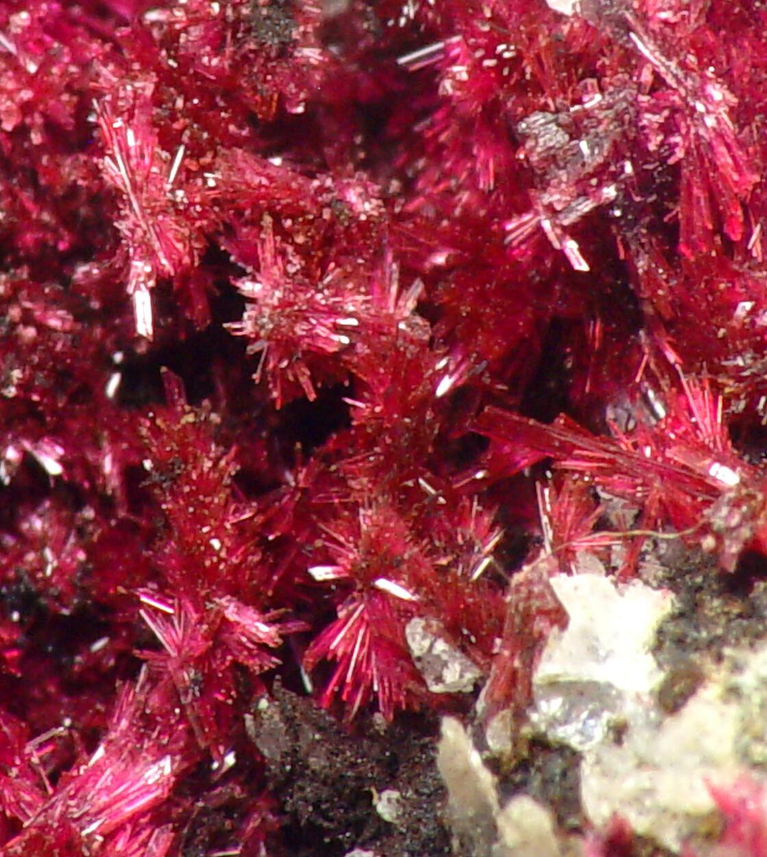 Erythrite