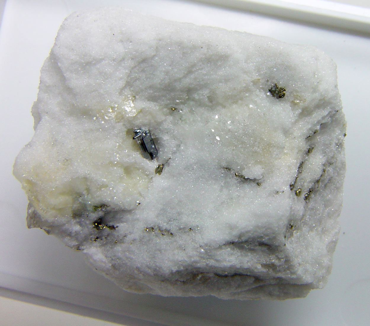 Sartorite