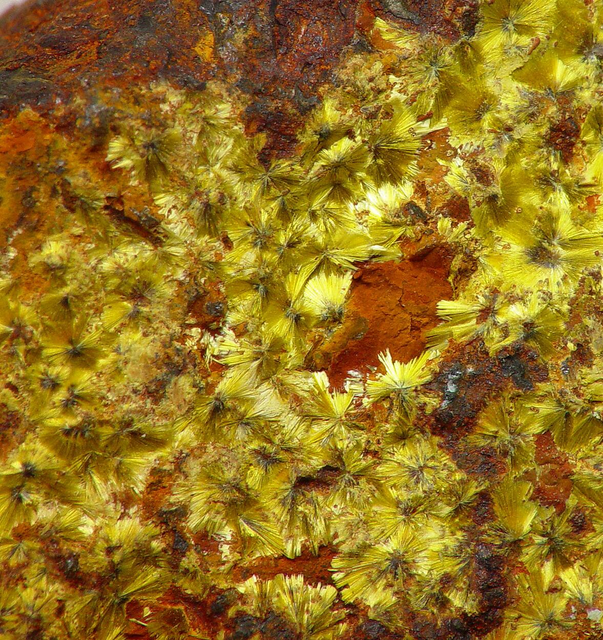 Cacoxenite