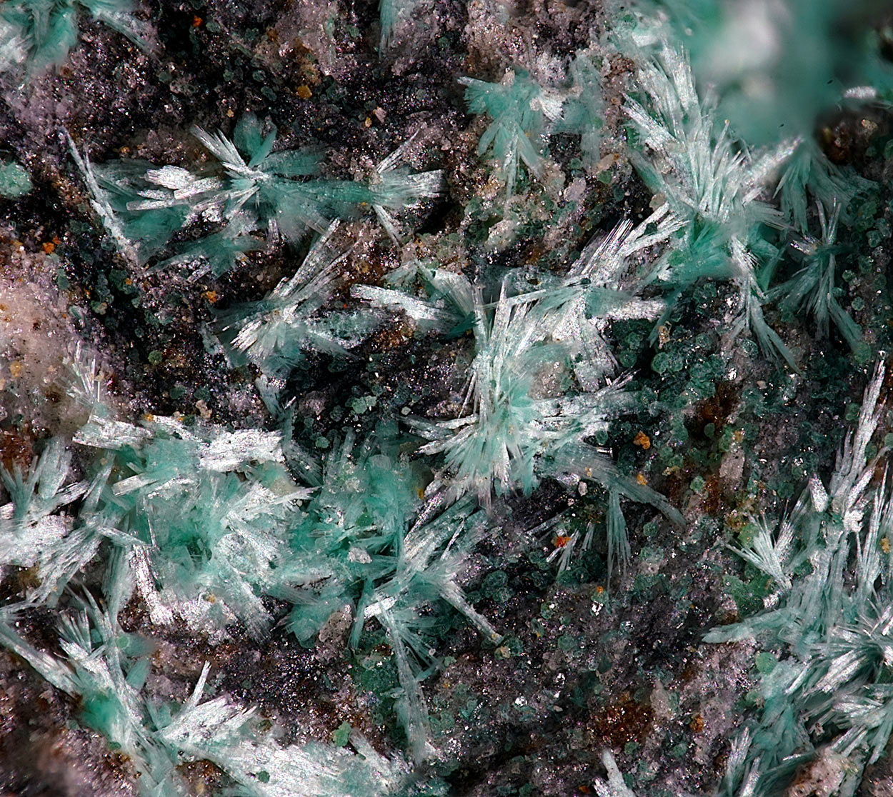 Fehrite & Connellite