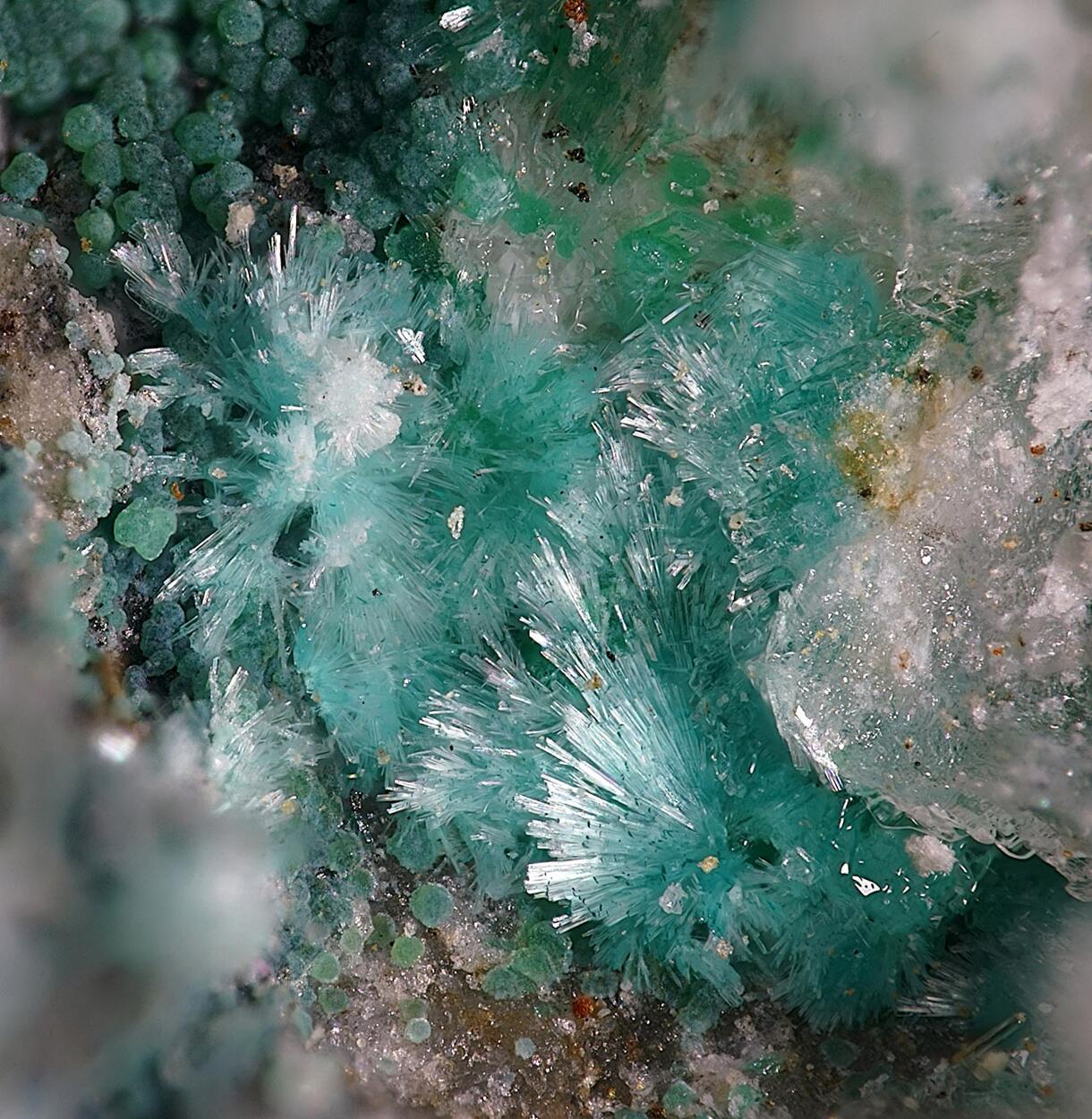 Fehrite & Connellite