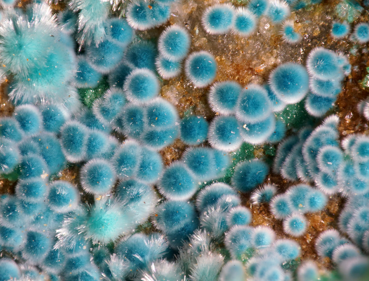 Fehrite & Connellite