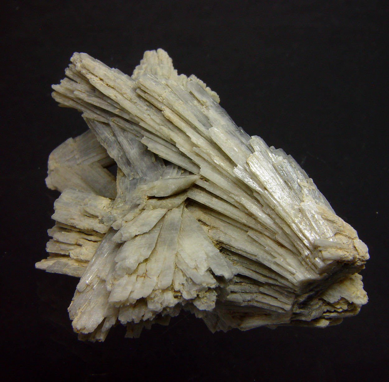 Edenite