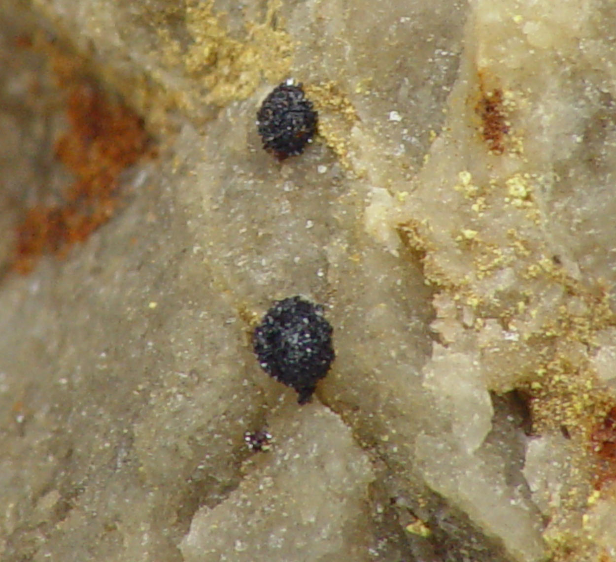 Fervanite & Schubnelite