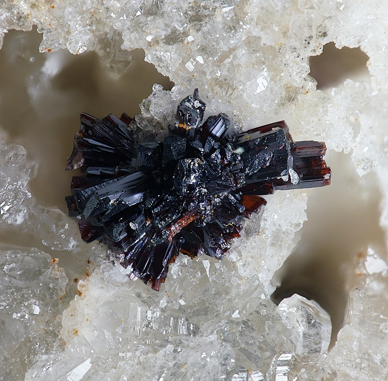 Fervanite & Schubnelite