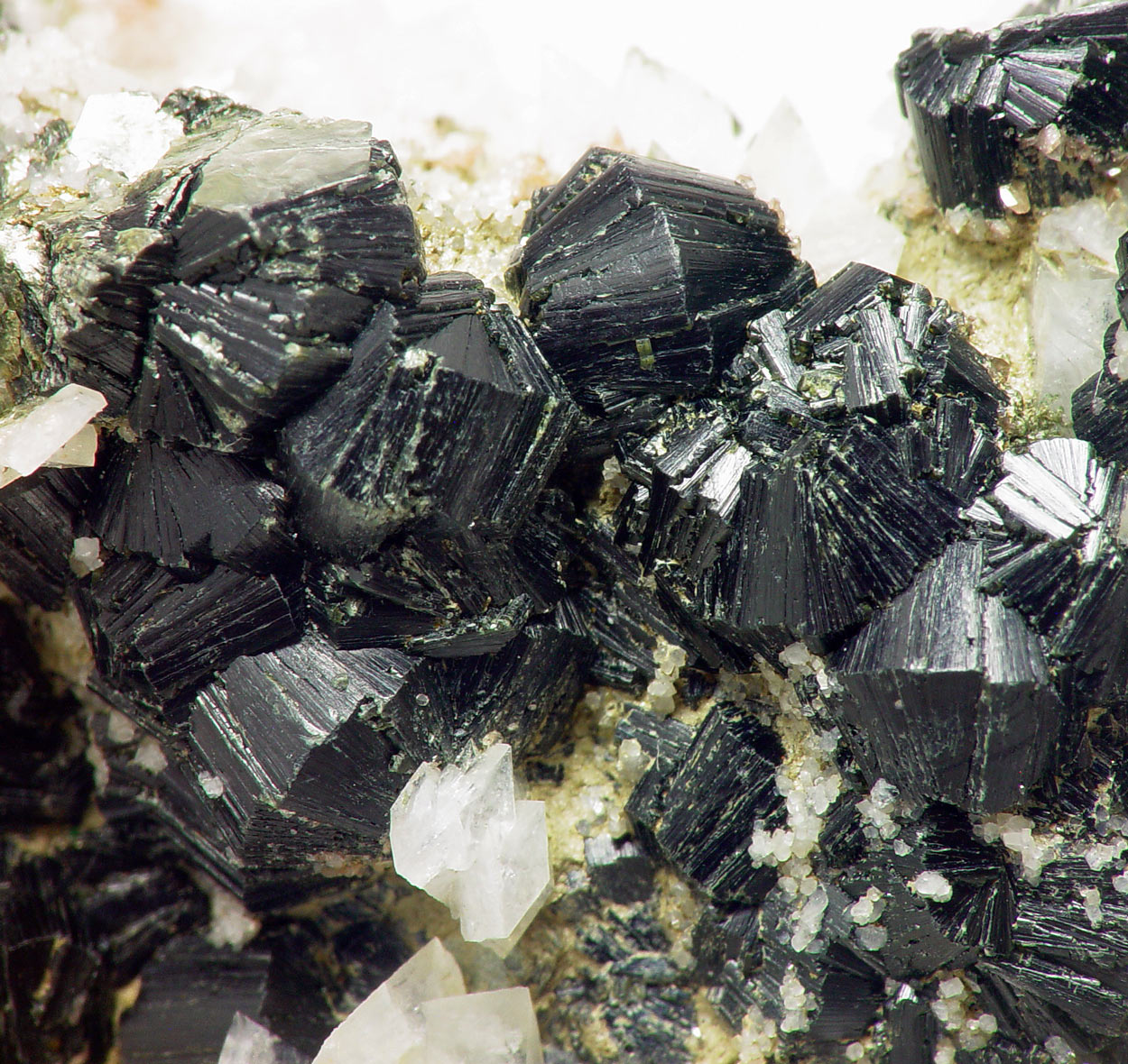 Clinochlore & Titanite