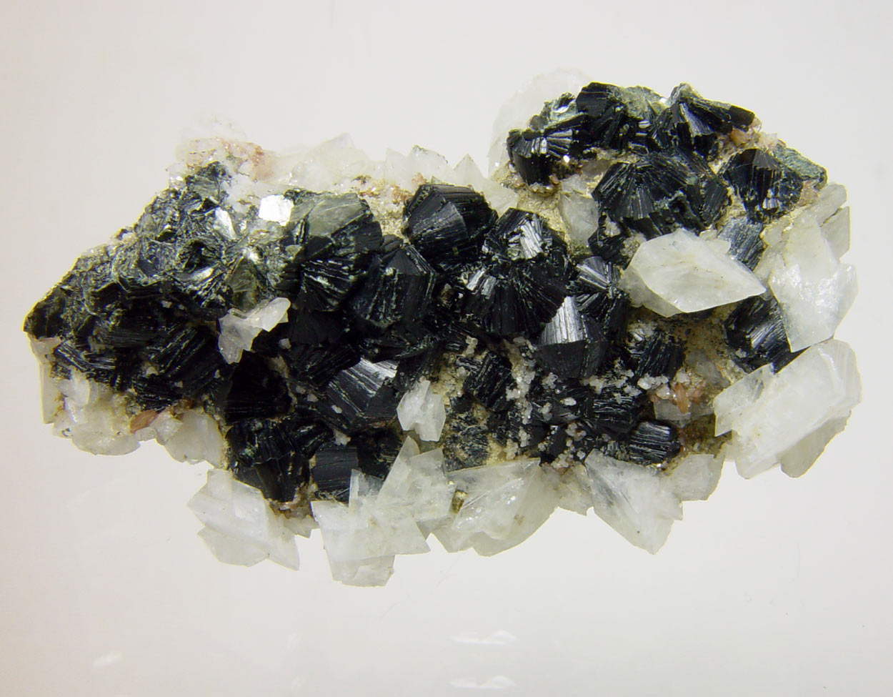 Clinochlore & Titanite