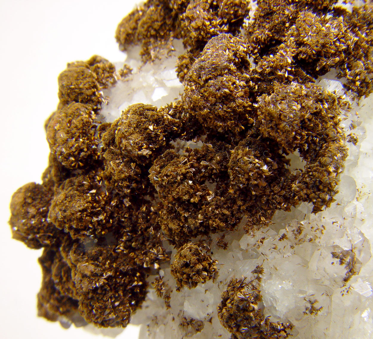 Goethite Var Samtblende