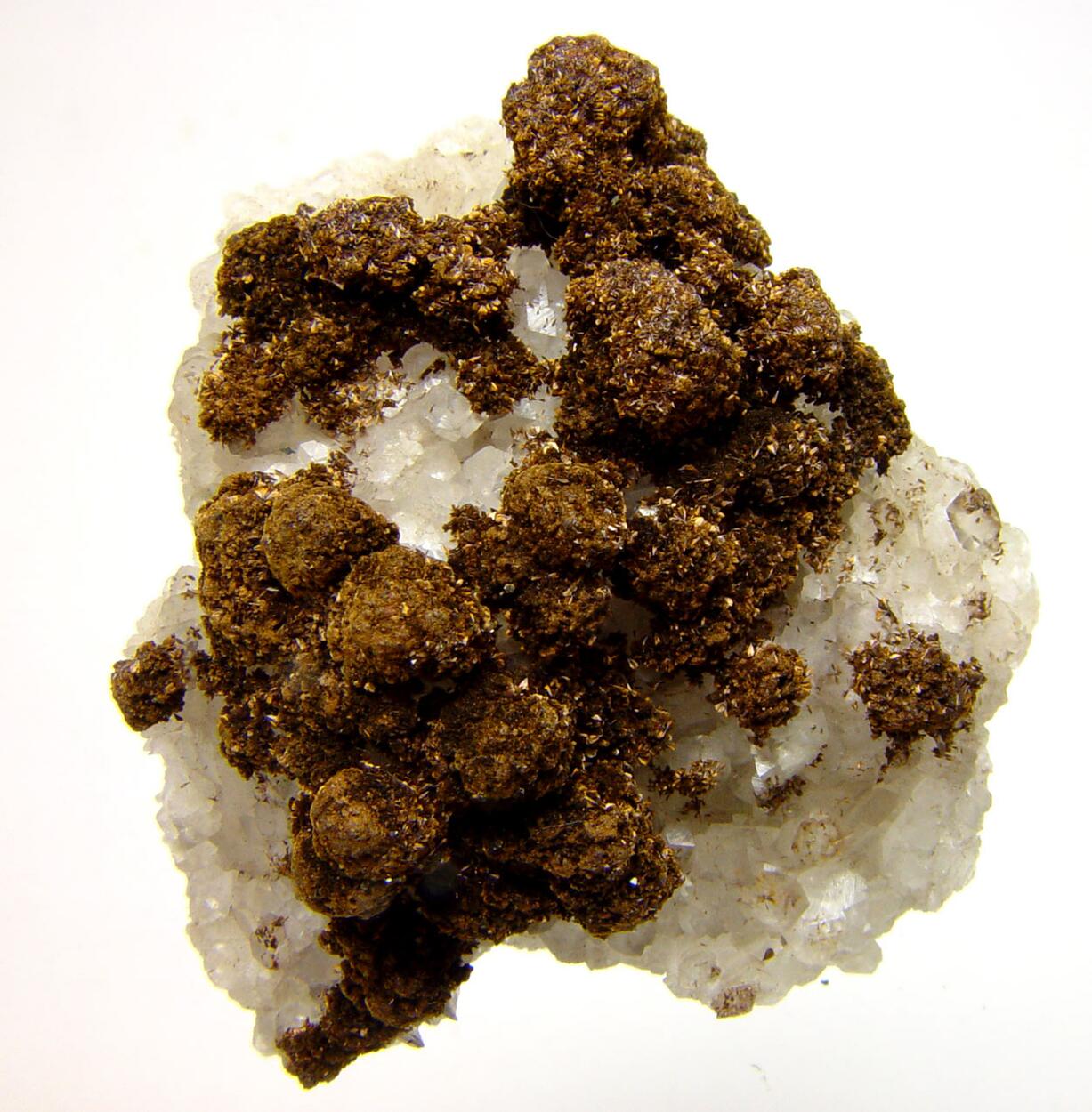 Goethite Var Samtblende