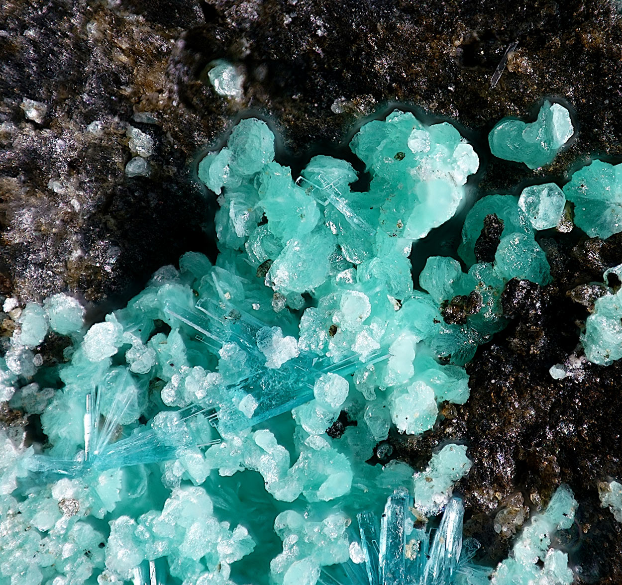 Schulenbergite & Serpierite