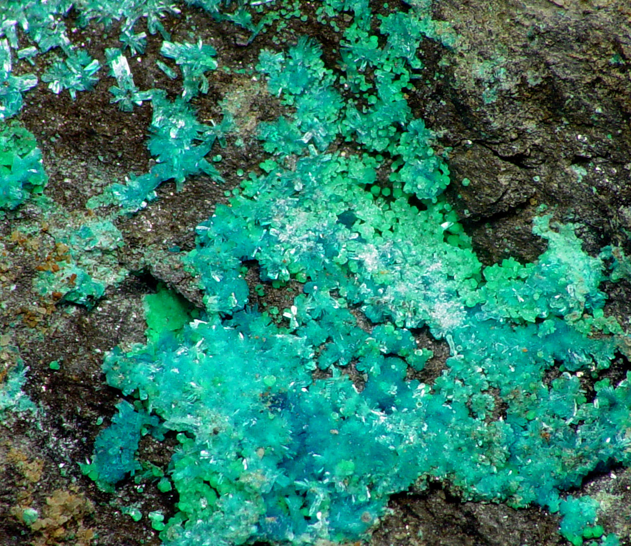 Schulenbergite & Serpierite