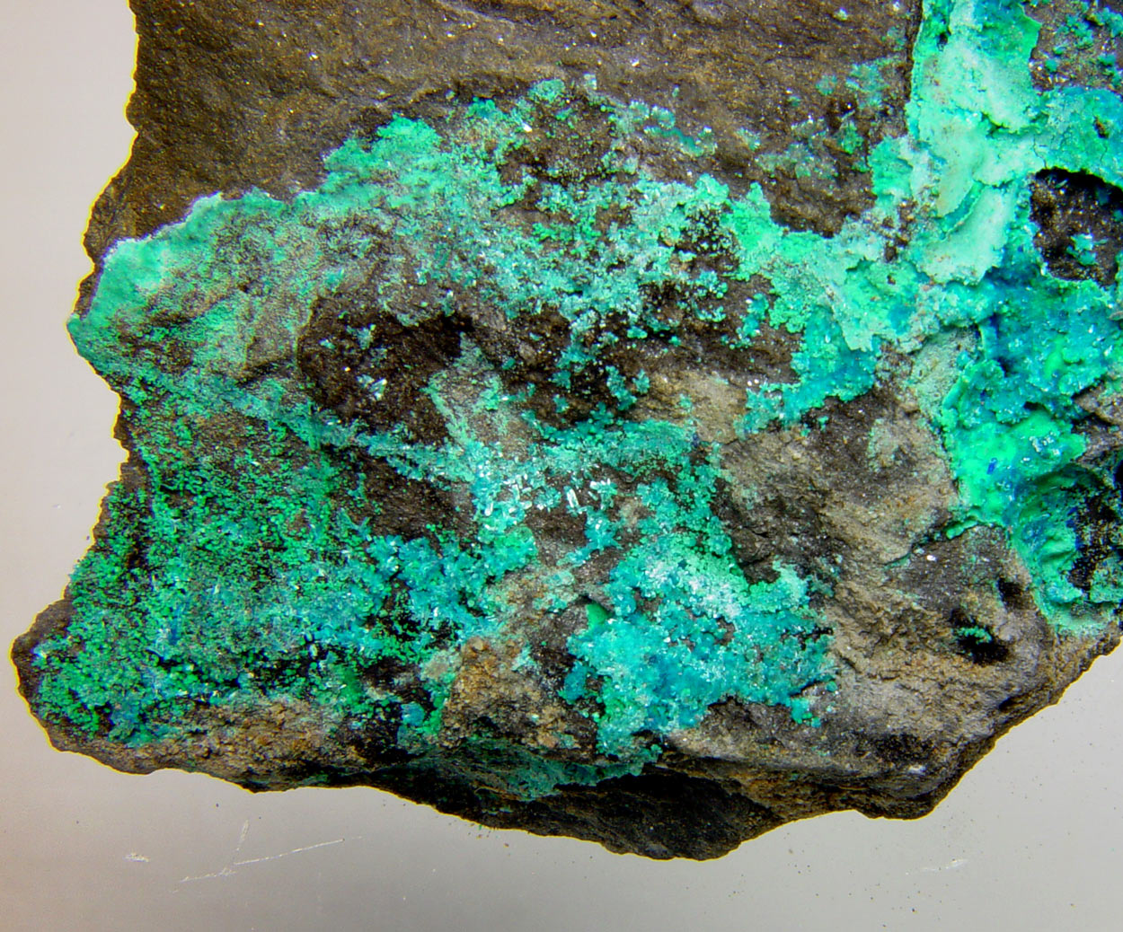 Schulenbergite & Serpierite