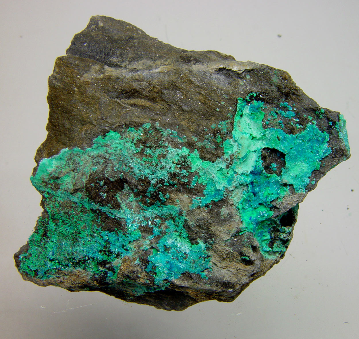 Schulenbergite & Serpierite