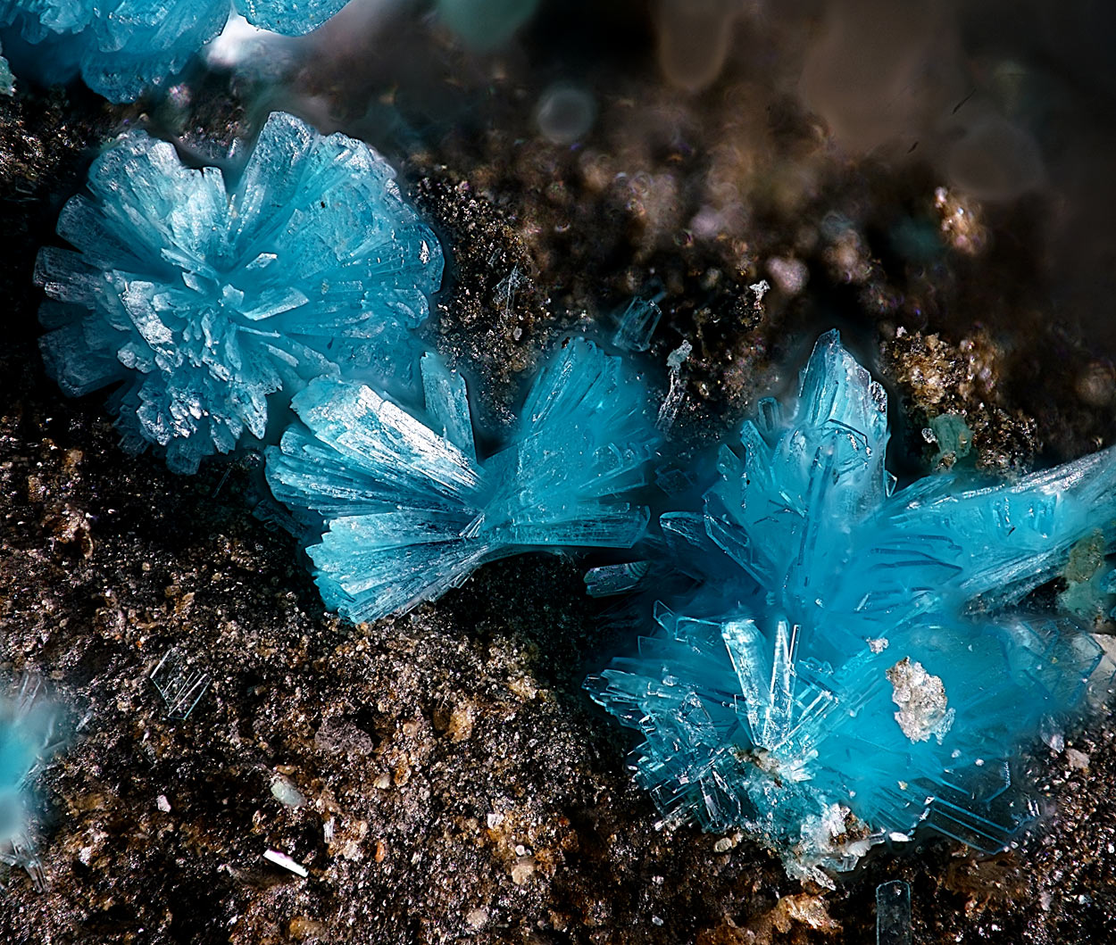 Schulenbergite & Serpierite