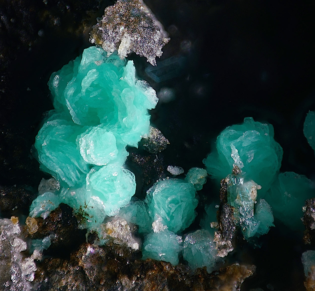 Schulenbergite & Serpierite