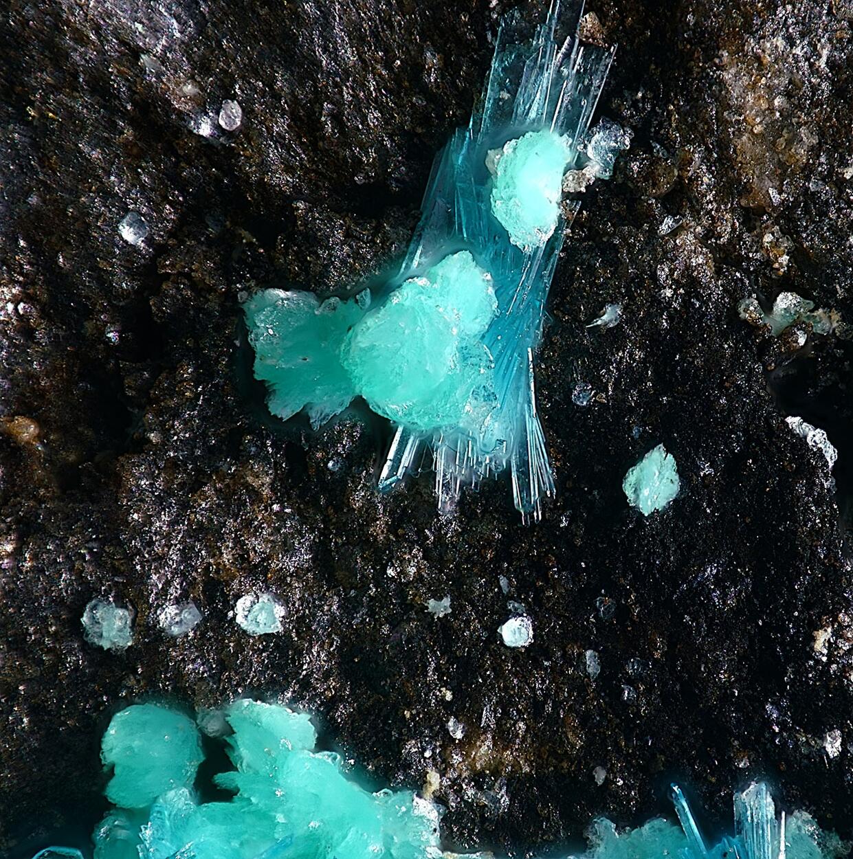 Schulenbergite & Serpierite