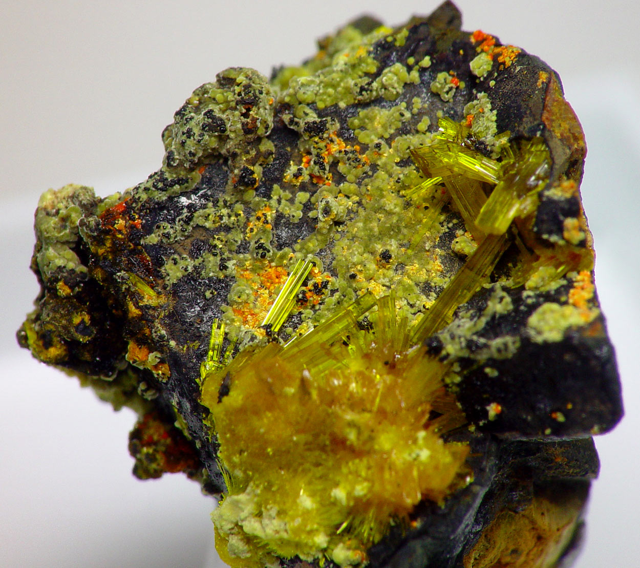 Becquerelite & Masuyite