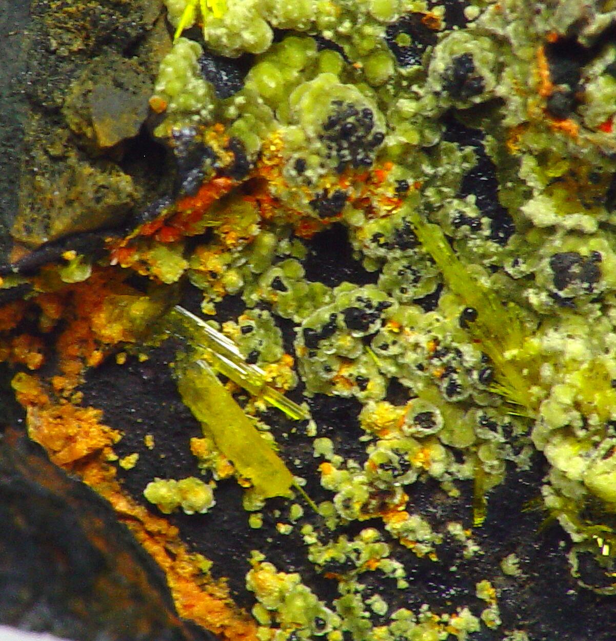 Becquerelite & Masuyite