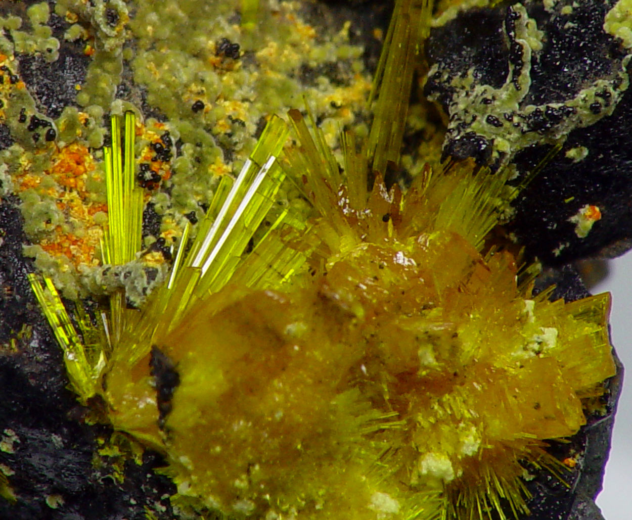 Becquerelite & Masuyite