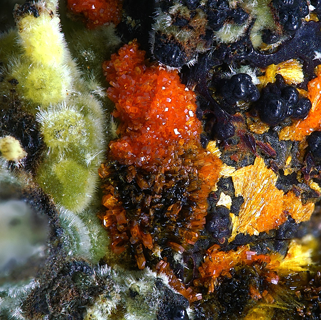 Becquerelite & Masuyite