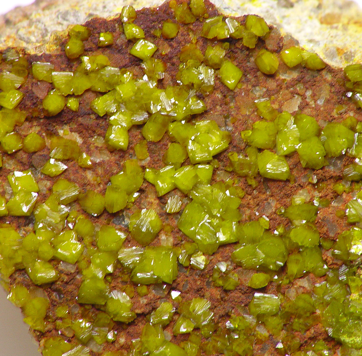 Francevillite & Mounanaite