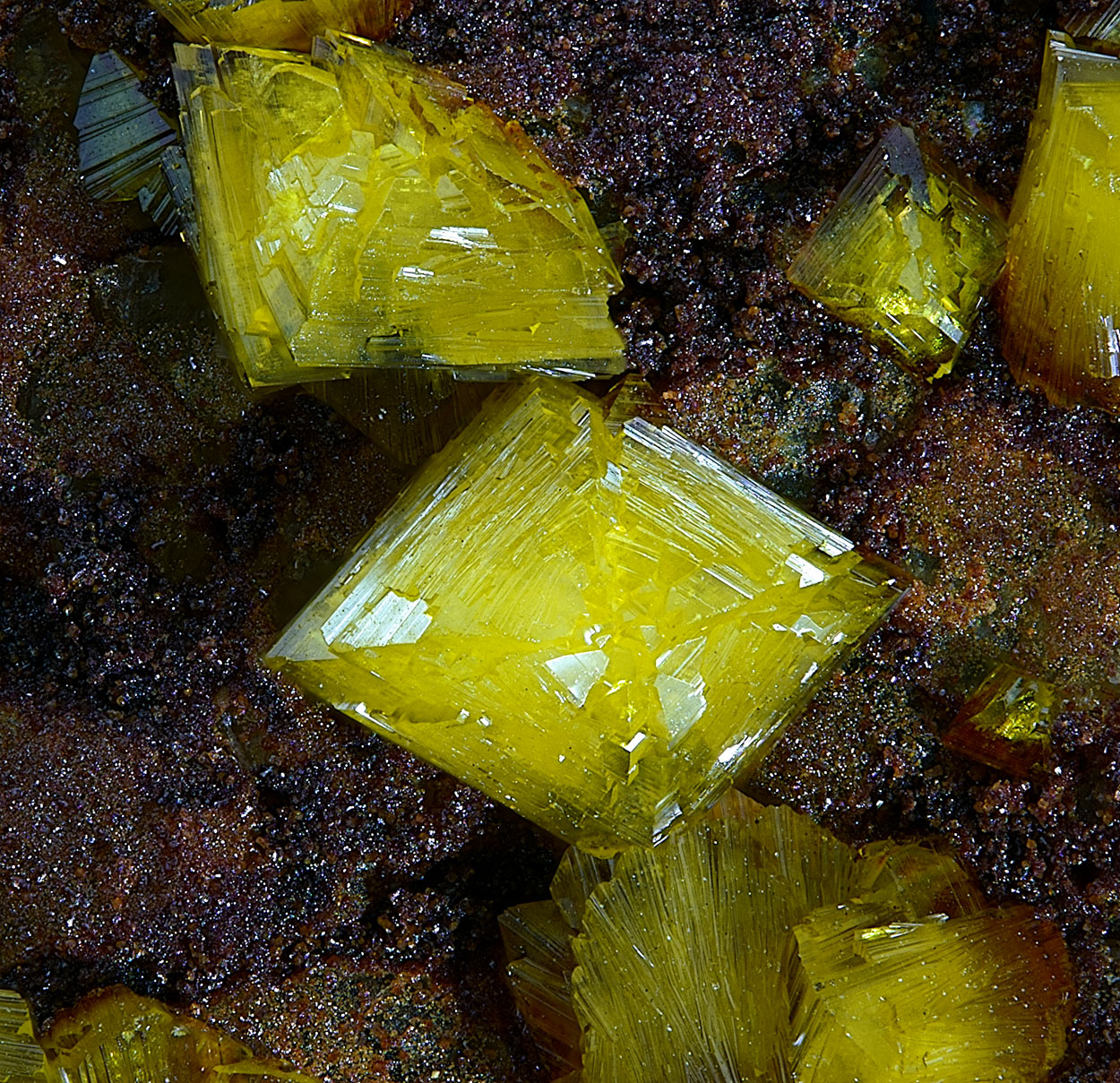 Francevillite & Mounanaite