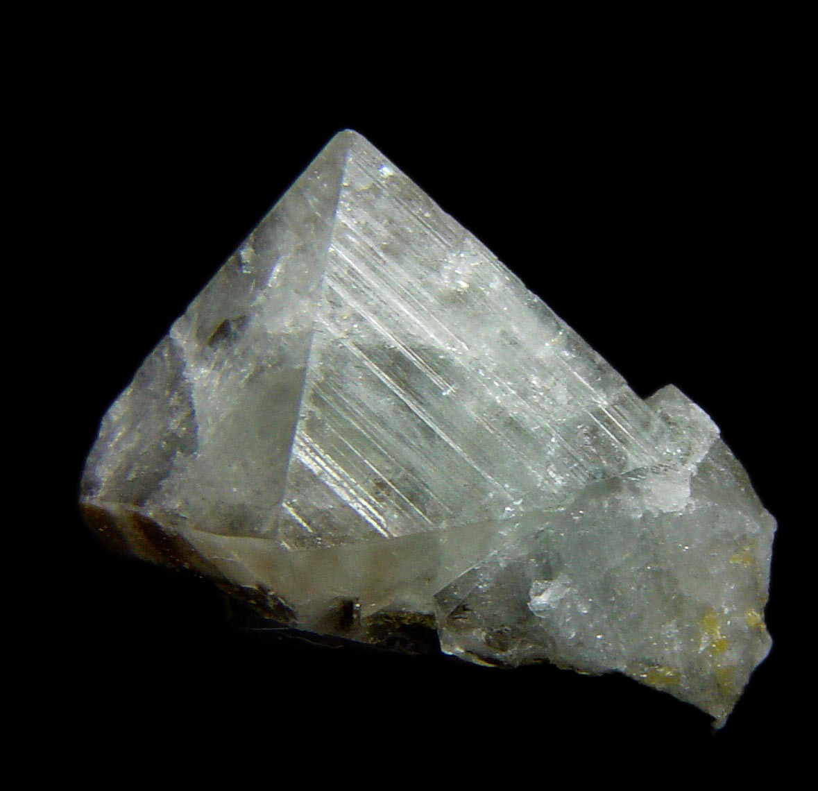 Wardite