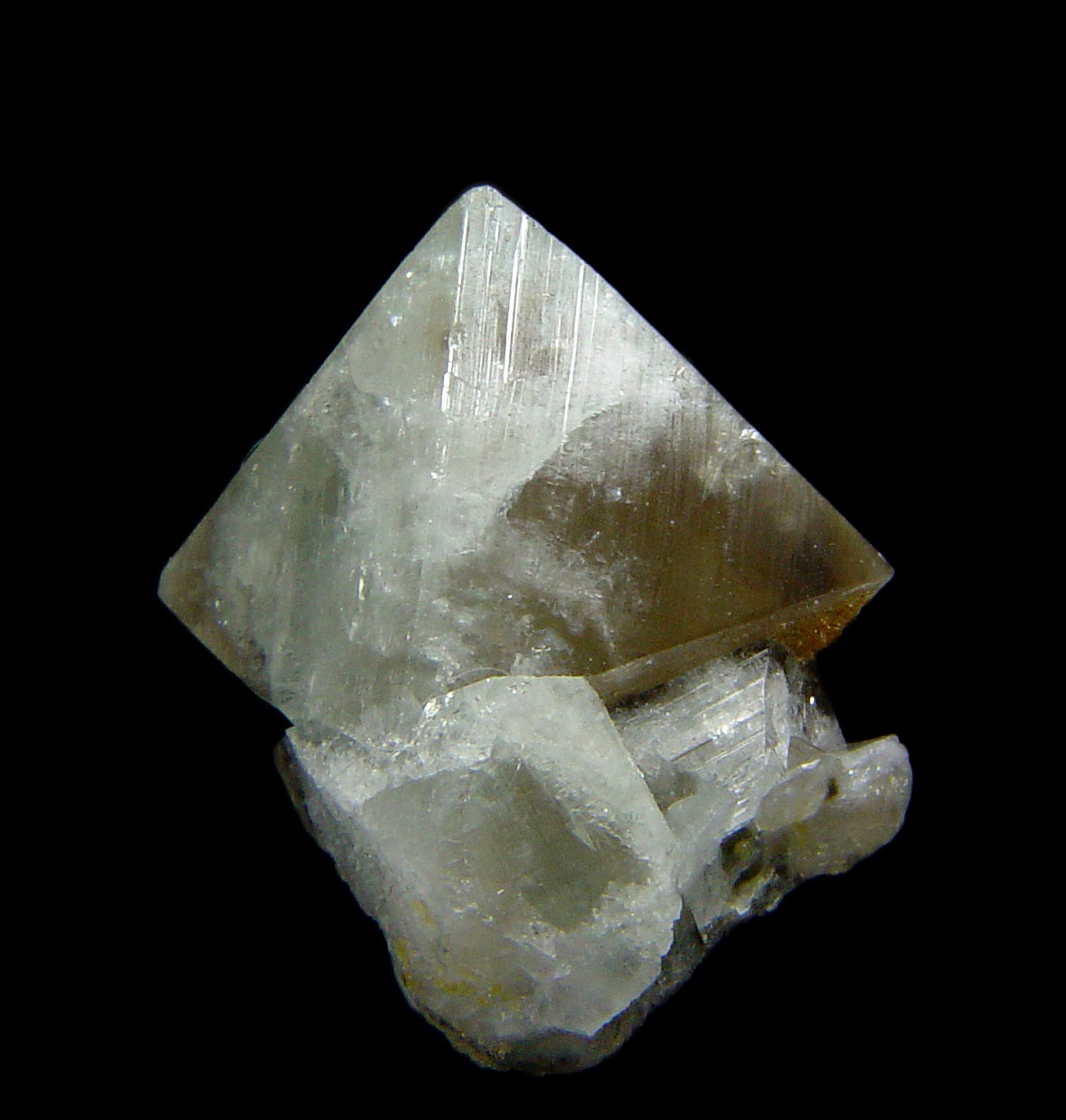 Wardite