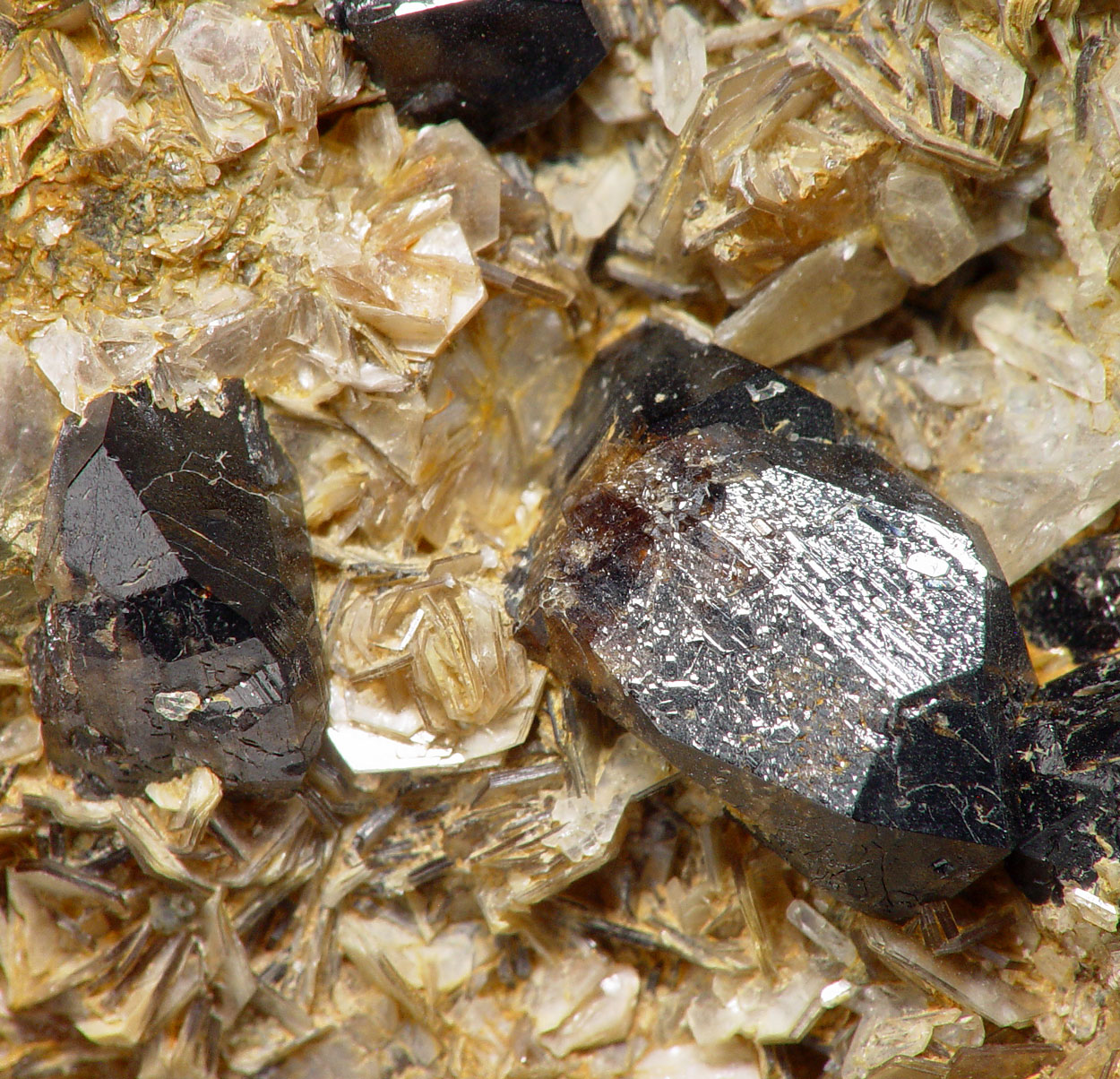 Cassiterite