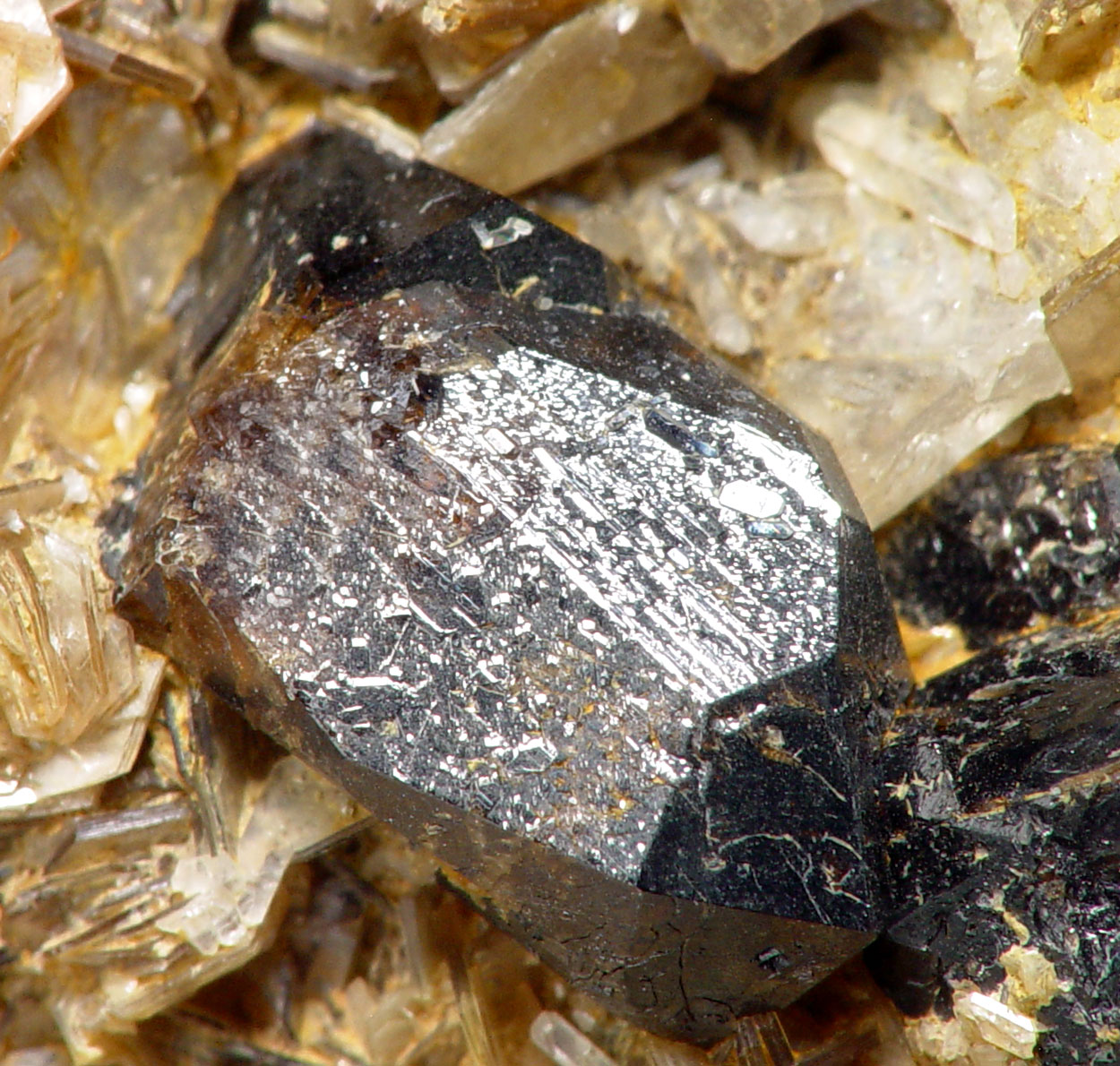 Cassiterite