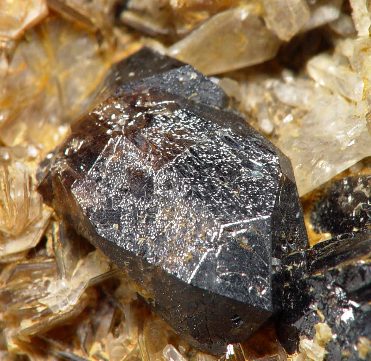 Cassiterite