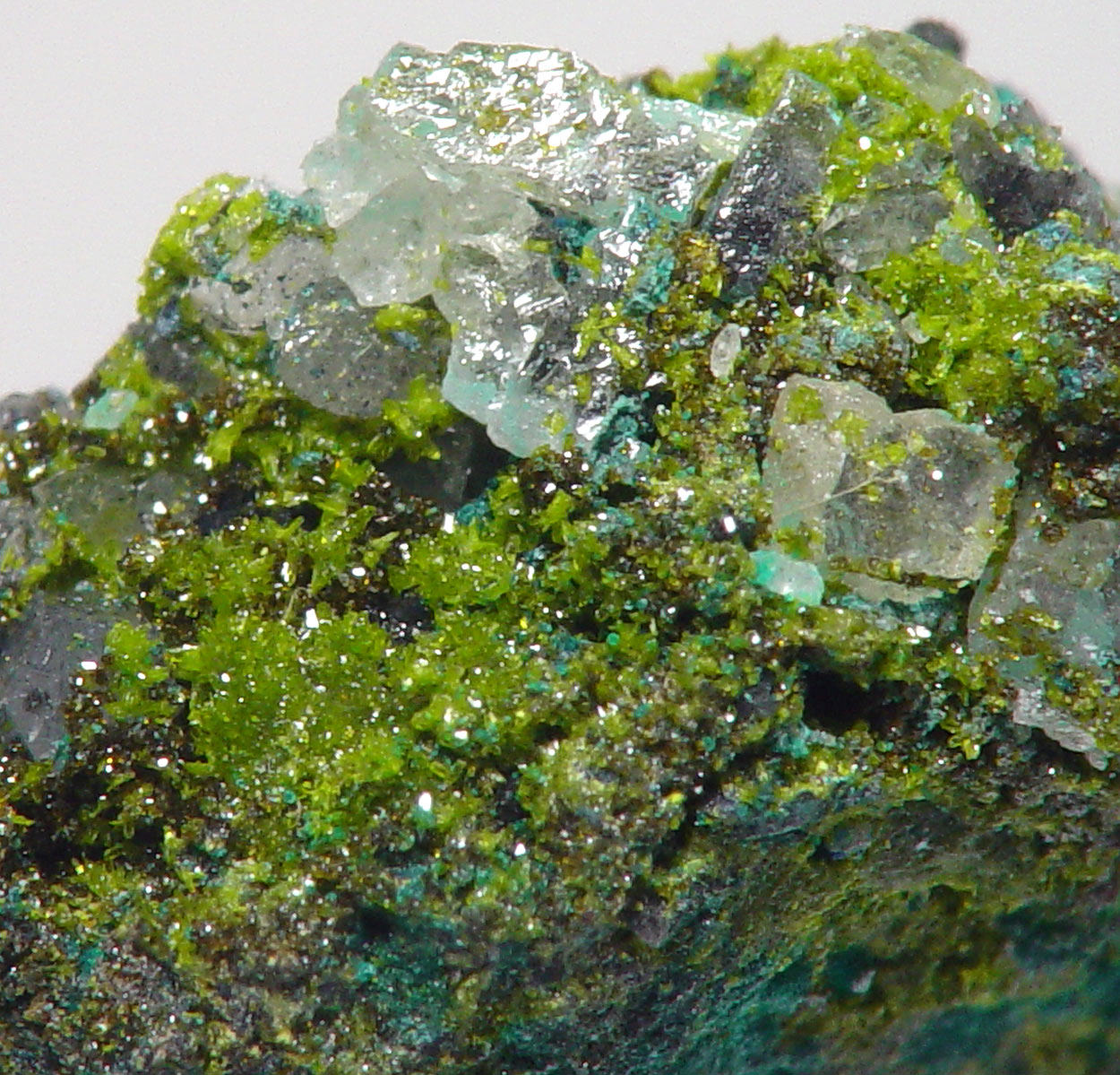 Gartrellite