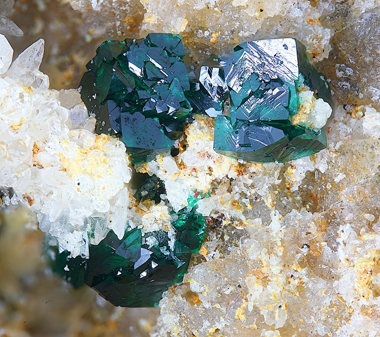 Herbertsmithite