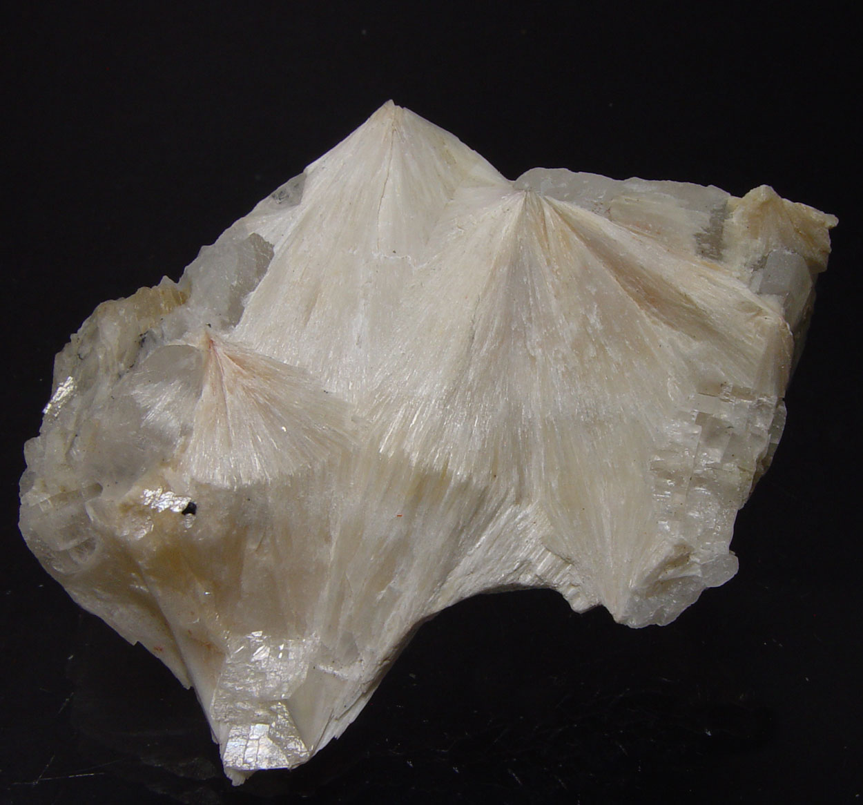 Pectolite