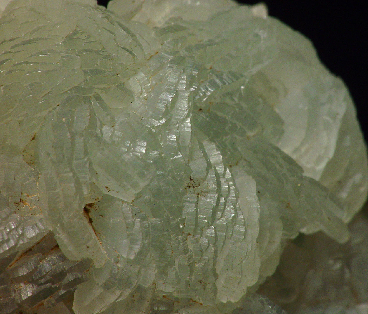 Prehnite