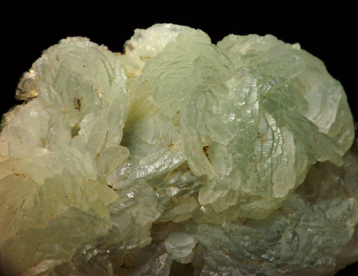 Prehnite