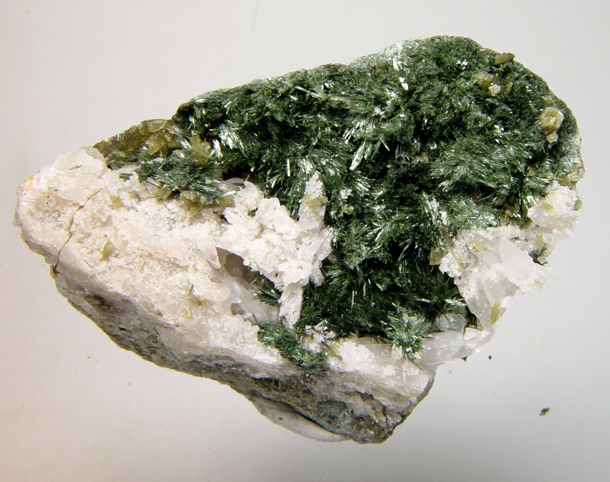 Pyrosmalite-(Fe) & Hedenbergite