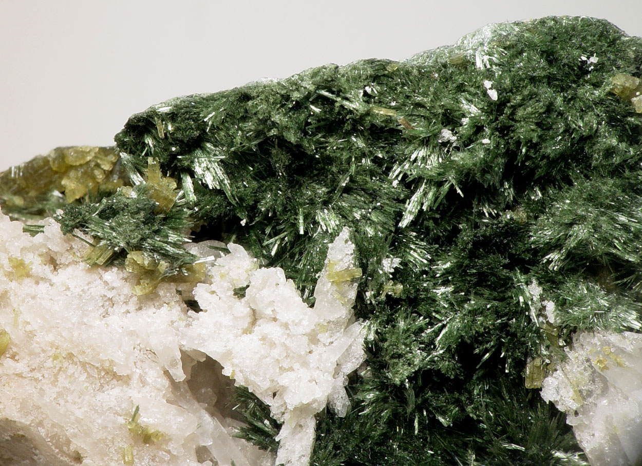 Pyrosmalite-(Fe) & Hedenbergite