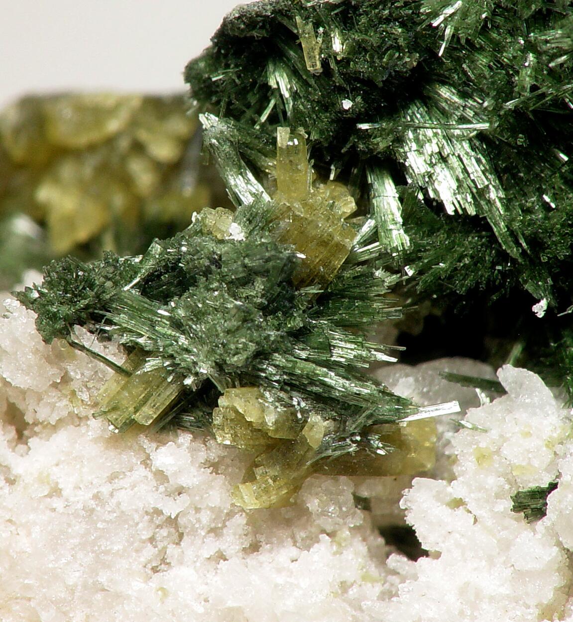 Pyrosmalite-(Fe) & Hedenbergite