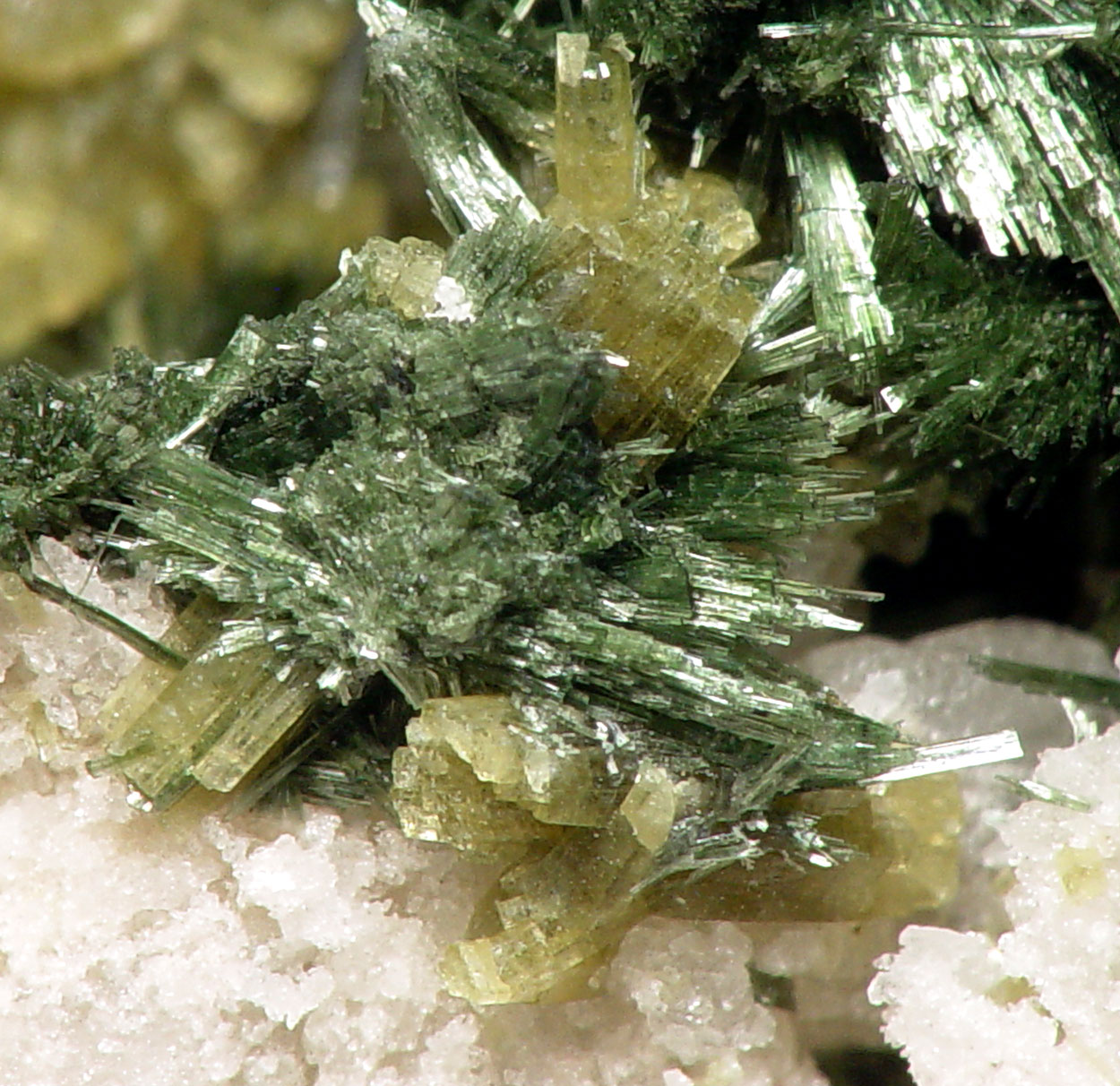 Pyrosmalite-(Fe) & Hedenbergite
