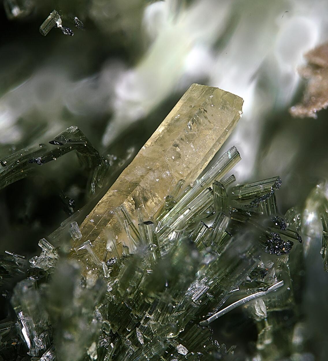 Pyrosmalite-(Fe) & Hedenbergite