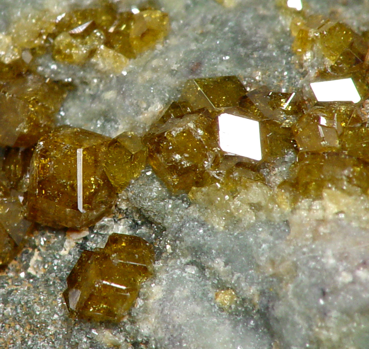 Topazolite On Serpentine